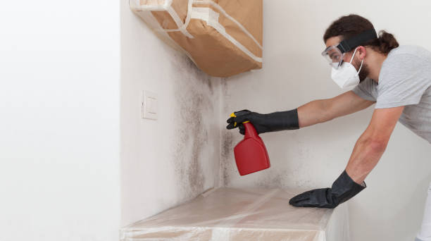 Professional Basement Mold Remediation technician working in Devon, PA